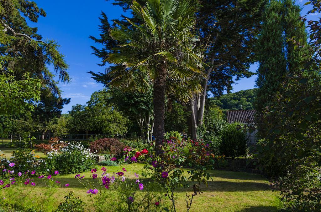 Moorlands Country Guest House Hutton  Exteriér fotografie